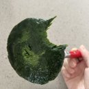 에프씨씨공유주방 | 냉동 쑥개떡 맛있게 찌는 법 면포 없이 에프용 종이 호일과 코멧 스테인리스 찜기로 간단 해결