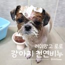 로로동물병원 | 강아지천연비누 러쉬망고 로로, 강아지 아토피 얼굴 목욕시키기