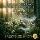 데일리바이웰 | 제목: [건강후기] 잦은 피로와 환절기 답답함, '바이웰 삼백초'로 되찾은 산뜻한 일상