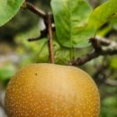 다정가 | 삶의 무늬가 있는 시(詩)