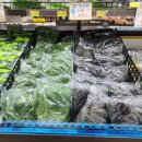 진선미약국 이미지