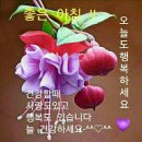 금송약국 이미지
