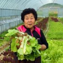 원조영양탕 이미지