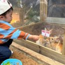 우창농장 이미지