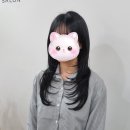 앙비떼 | 성신여대 레이어드컷 맛집 앙비떼살롱｜수민 디자이너쌤 후기