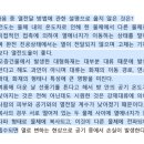 동프 2,3회 질문입니다 이미지