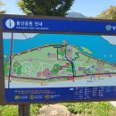 황산공원 캠핑장2번 이미지