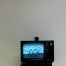 정원비디오 이미지