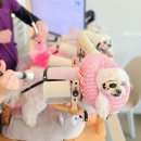 한걸음더 재활한방 동물병원 네이버블로그