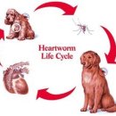 이촌사랑약국 이미지