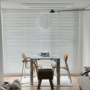 강아지의 품격 | 국제 강아지의 날 기념, 펫테리어 강아지 바닥재 마루 추천!