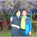 백사초교 이미지