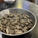 율이꼬치구이 이미지