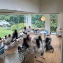 힐링정원 | 광주 무등산 근처 카페 지즈, 정원 힐링 카페 후기