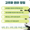 인천주안산후관리 추천: 아름다움에스테틱(고주파 관리 후기)