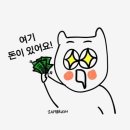 현성미싱 | 럽이즈유