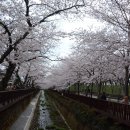 기억의 순간 이미지