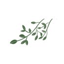 본죽 평택소사벌점 이미지