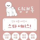 딩댕독 네이버블로그