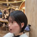고운머리터