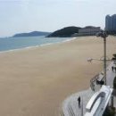 생각의 모래알을 줍다 이미지