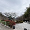 돌할매식당 이미지