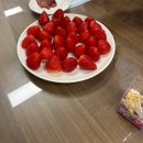 신정호수공원-11 | 26년 3월, 안녕하세요 신혼입니다