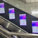와이제이(YJ)코리아 이미지