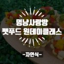 멍냥사랑방 이미지