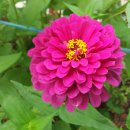 상상초월공인중개사사무소 이미지