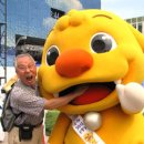 저팔계 Daum카페