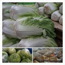 시온상회 이미지