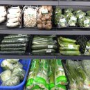 이글루고 태양광발전소 이미지