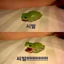 킴언니