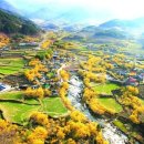 수지면 고정마을 이미지