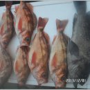 대만선 이미지