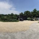 성애농장 이미지