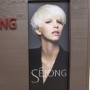 세종헤어 올림픽프라자점