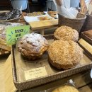 빵에 반하다 | 🍞 힛더스팟 카페 방문기 — 올리브 소금빵에 반하다