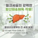 기흥오피스녹즙