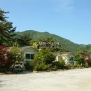 김삿갓면-32 Daum카페