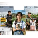 창구농장 이미지