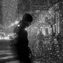 나가타 사토키의 「시카고에서의 빛」 이미지