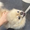 프롬미유