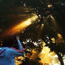 새벽목장 이미지