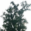 용문산공인중개사사무소 이미지