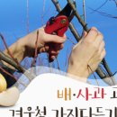 주식회사 토양과나무 이미지