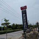 색달식당중문갈치조림구이 | 제주 중문 맛집 색달식당 통갈치구이 갈치조림 솔직 후기
