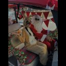 킹덤키즈 이미지