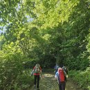 지리산 7암자 순례길 (24.05.15.부처님오신날) 이미지